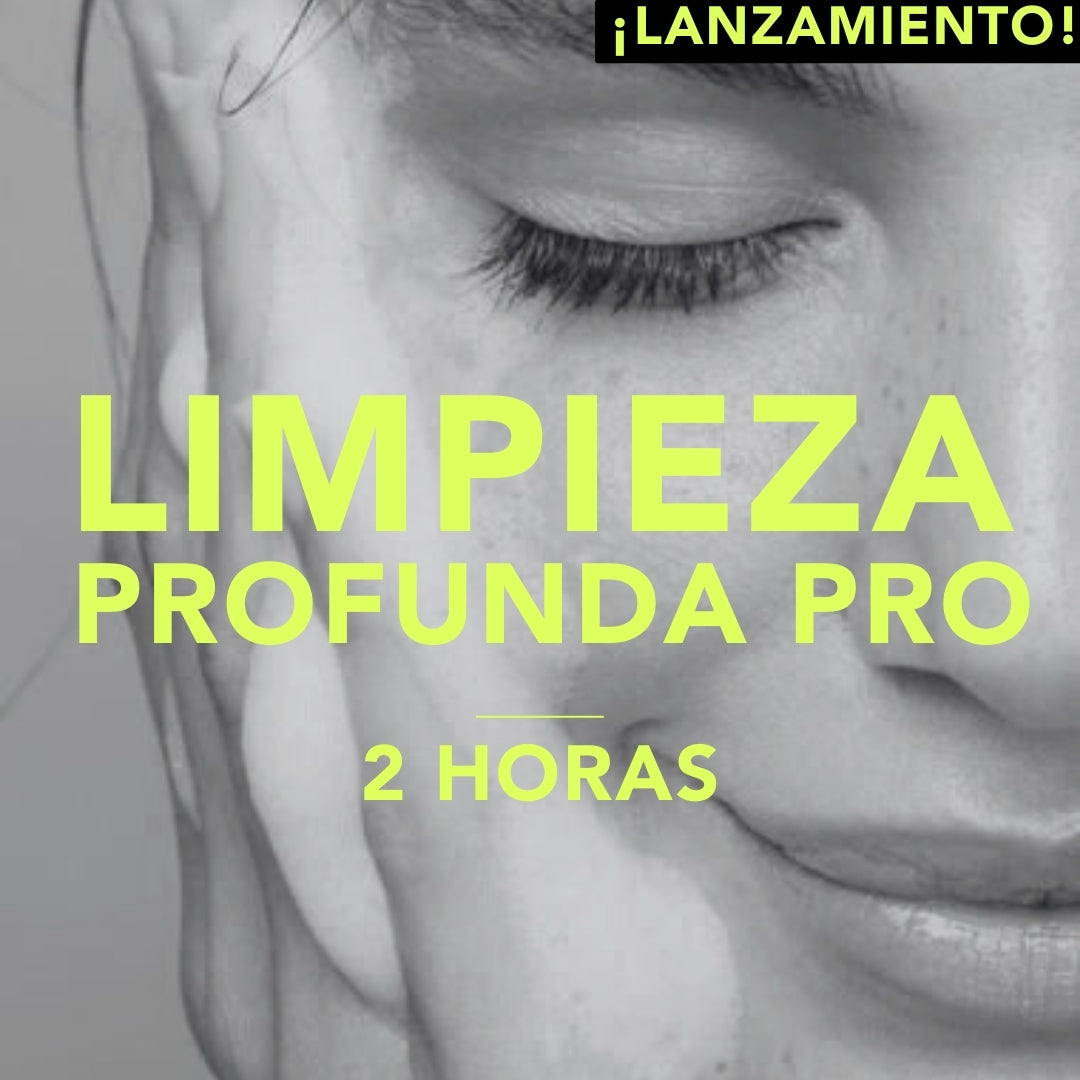 Limpieza Profunda Pro 2 Horas -15%